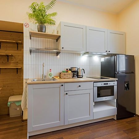 Cozy Studio And Standard Apartments In The Heart Of Oldtown VNO Extérieur photo